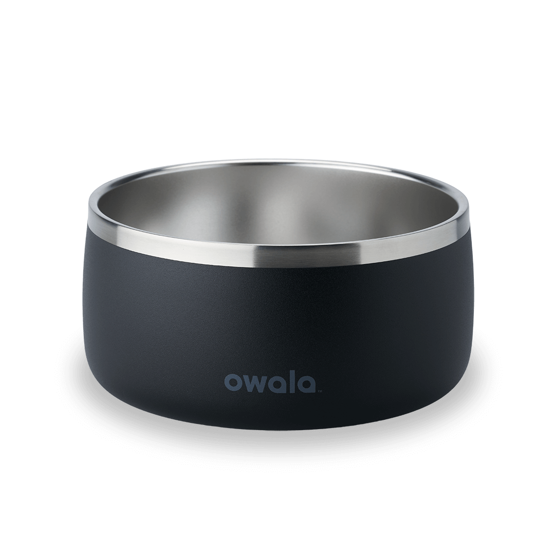 Pet Bowl JDJF0O