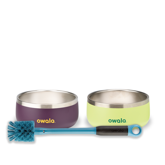 Pet Bowl Bundle 1N9SSA