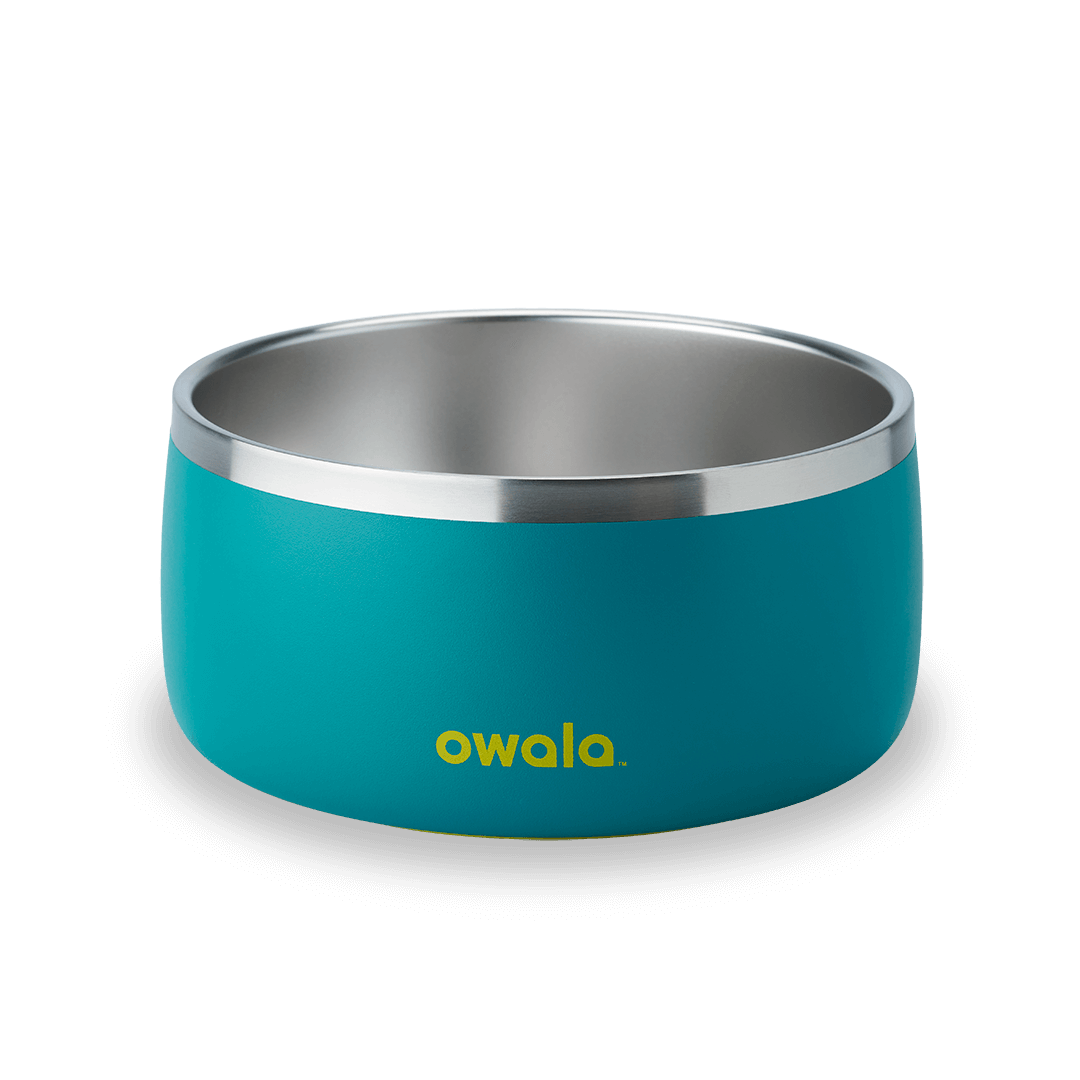 Pet Bowl JDJF0O