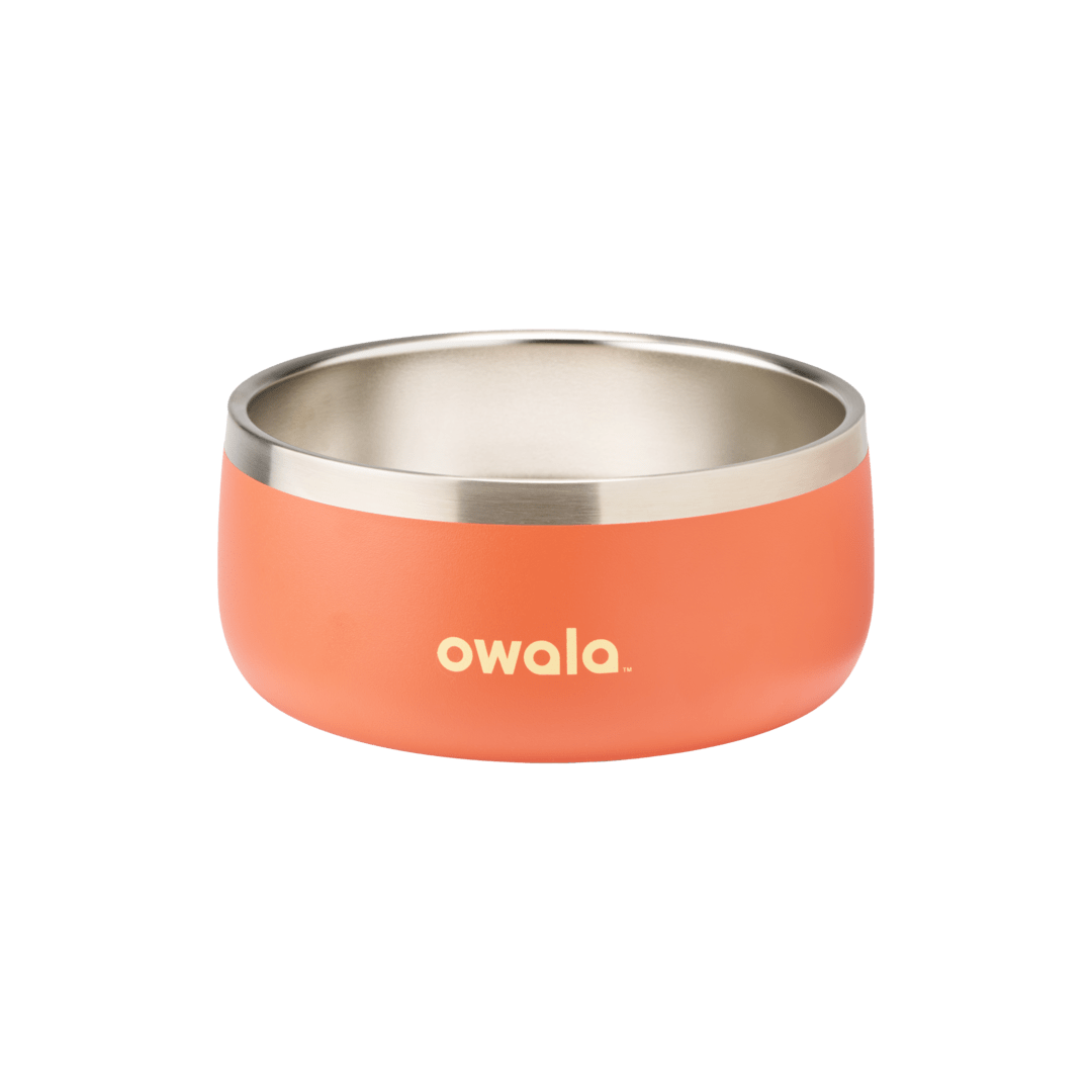 Pet Bowl JDJF0O