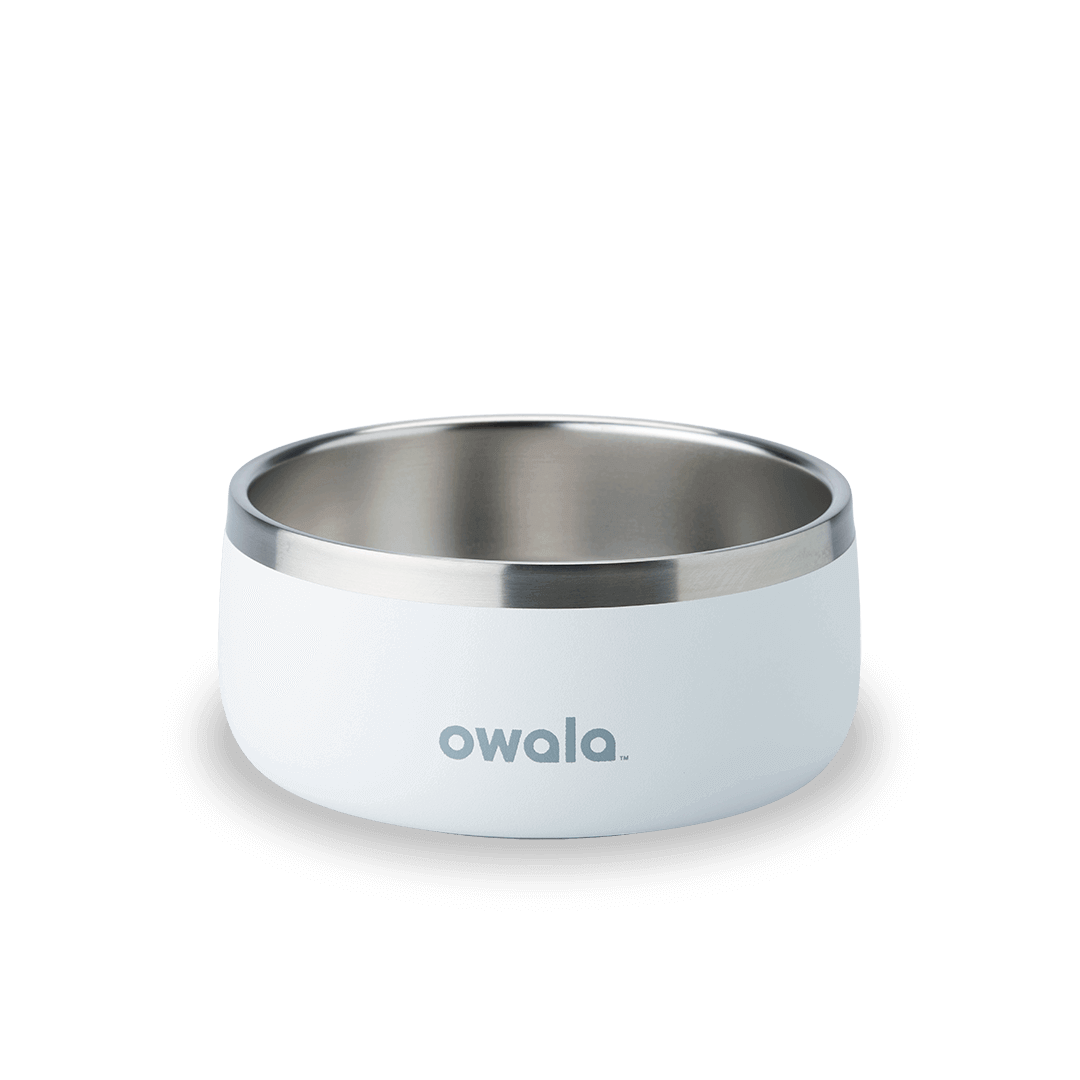 Pet Bowl JDJF0O
