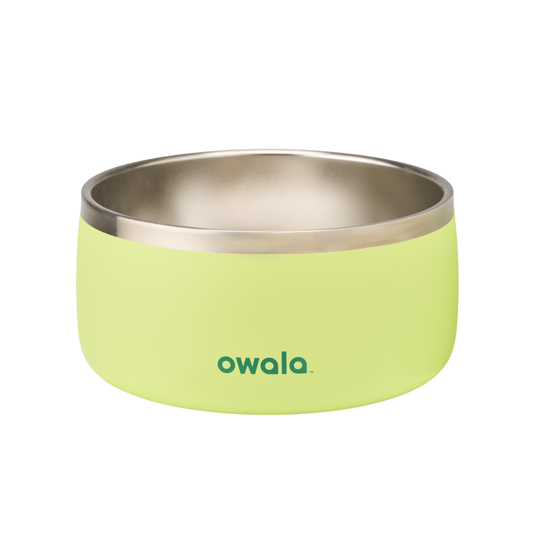 Pet Bowl JDJF0O