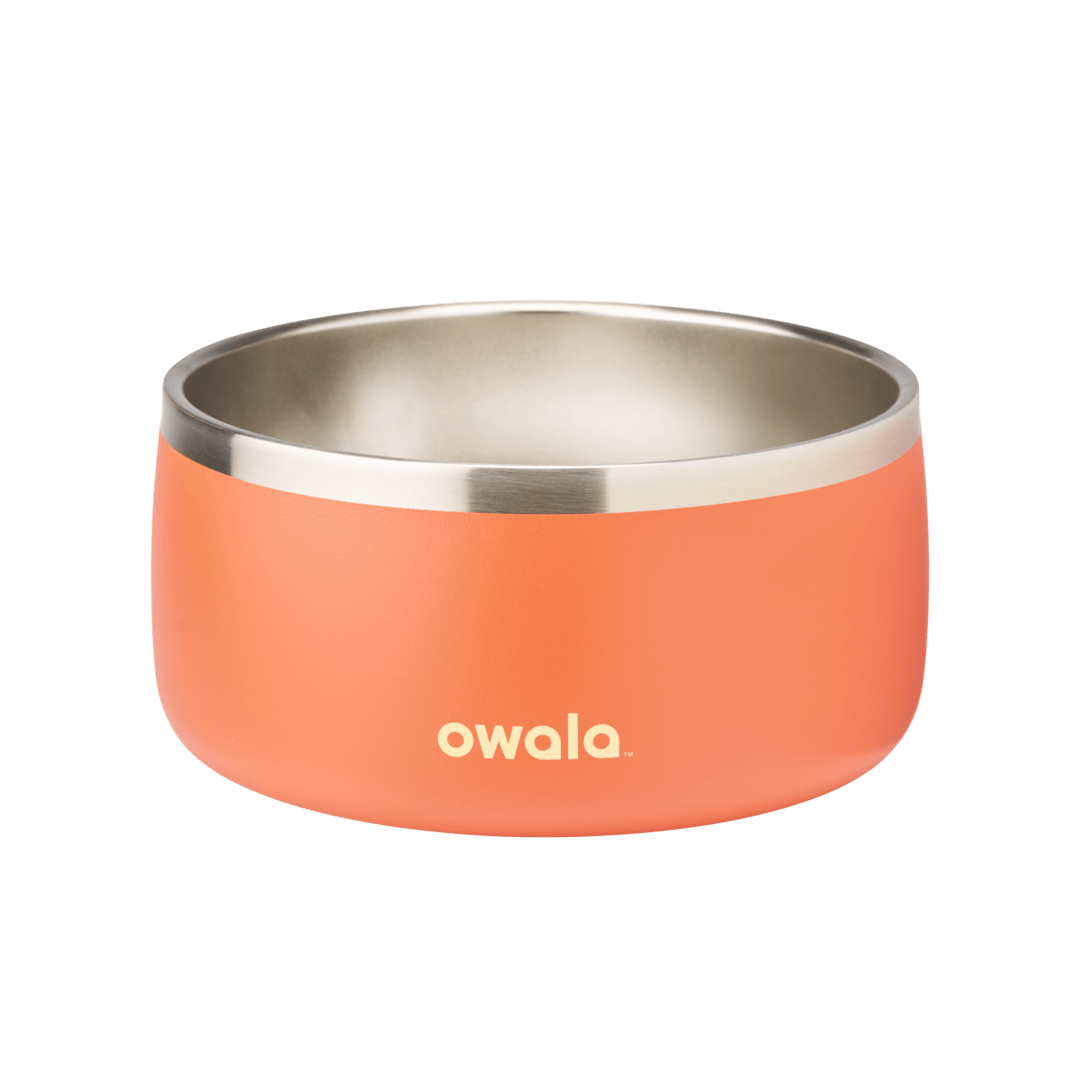 Pet Bowl JDJF0O