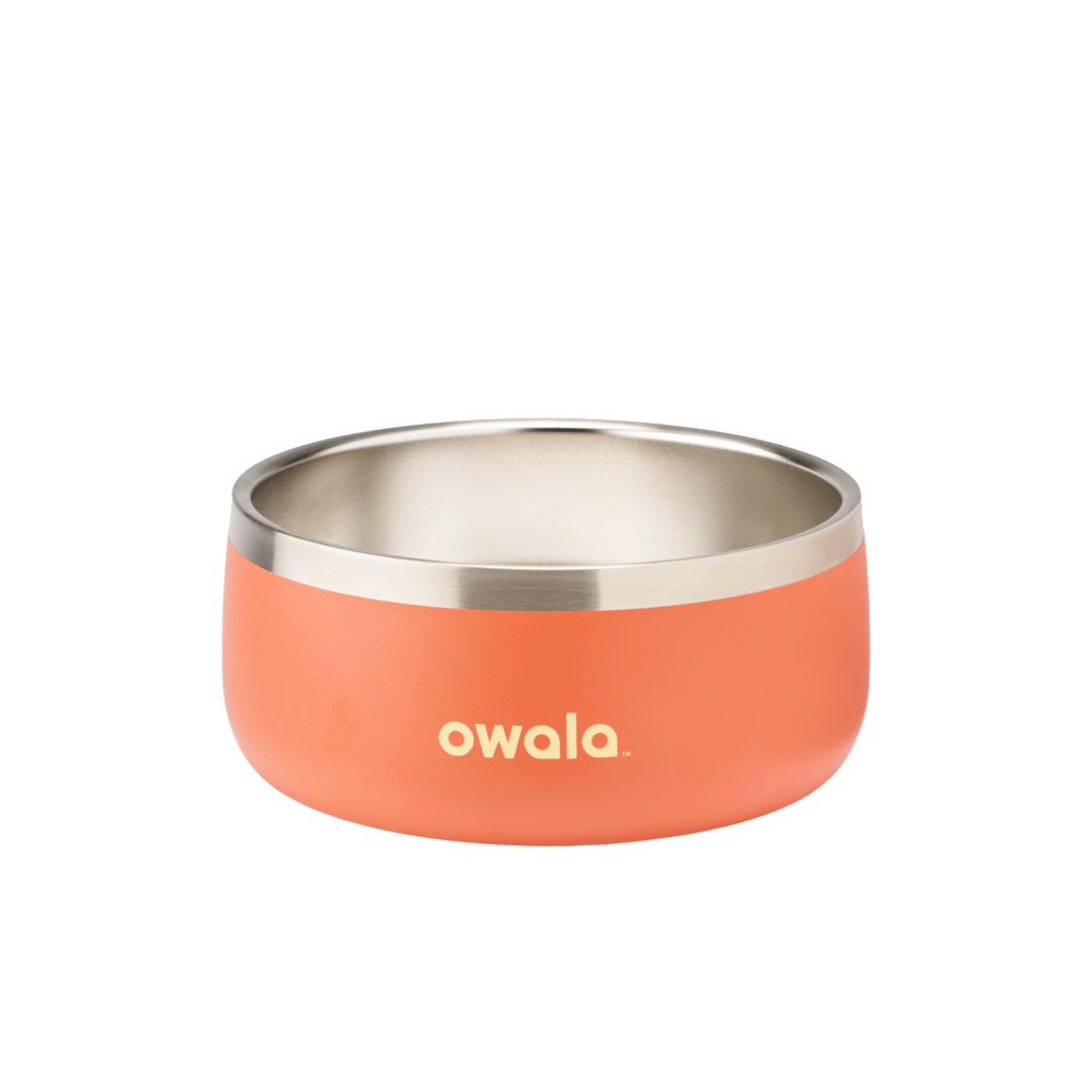 Pet Bowl JDJF0O