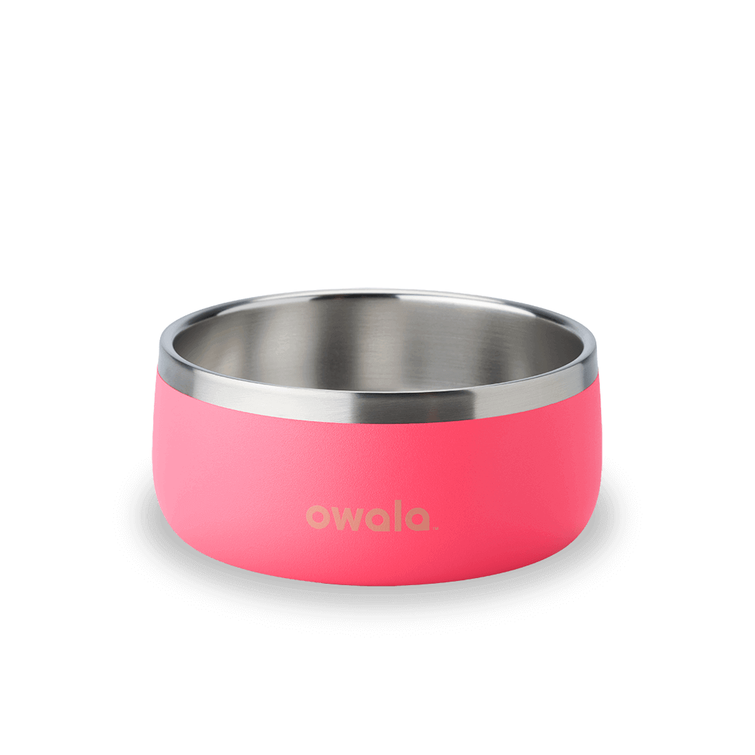 Pet Bowl JDJF0O