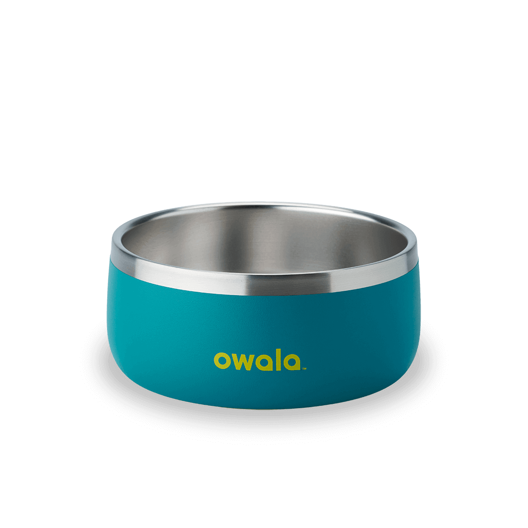 Pet Bowl JDJF0O